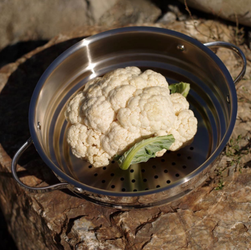 Wkładka do gotowania na parze Fissman 20cm